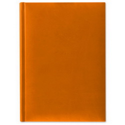 Ежедневник датированный ТУКСОН (352 стр.), оранжевый